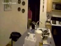 Dog plays with a pair